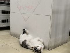 -玉椰林甜品店(创始店)