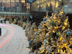 -世界之窗阿尔卑斯冰雪世界