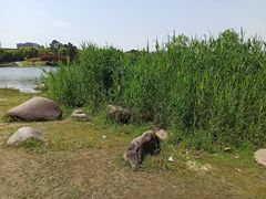 -美兰湖景区