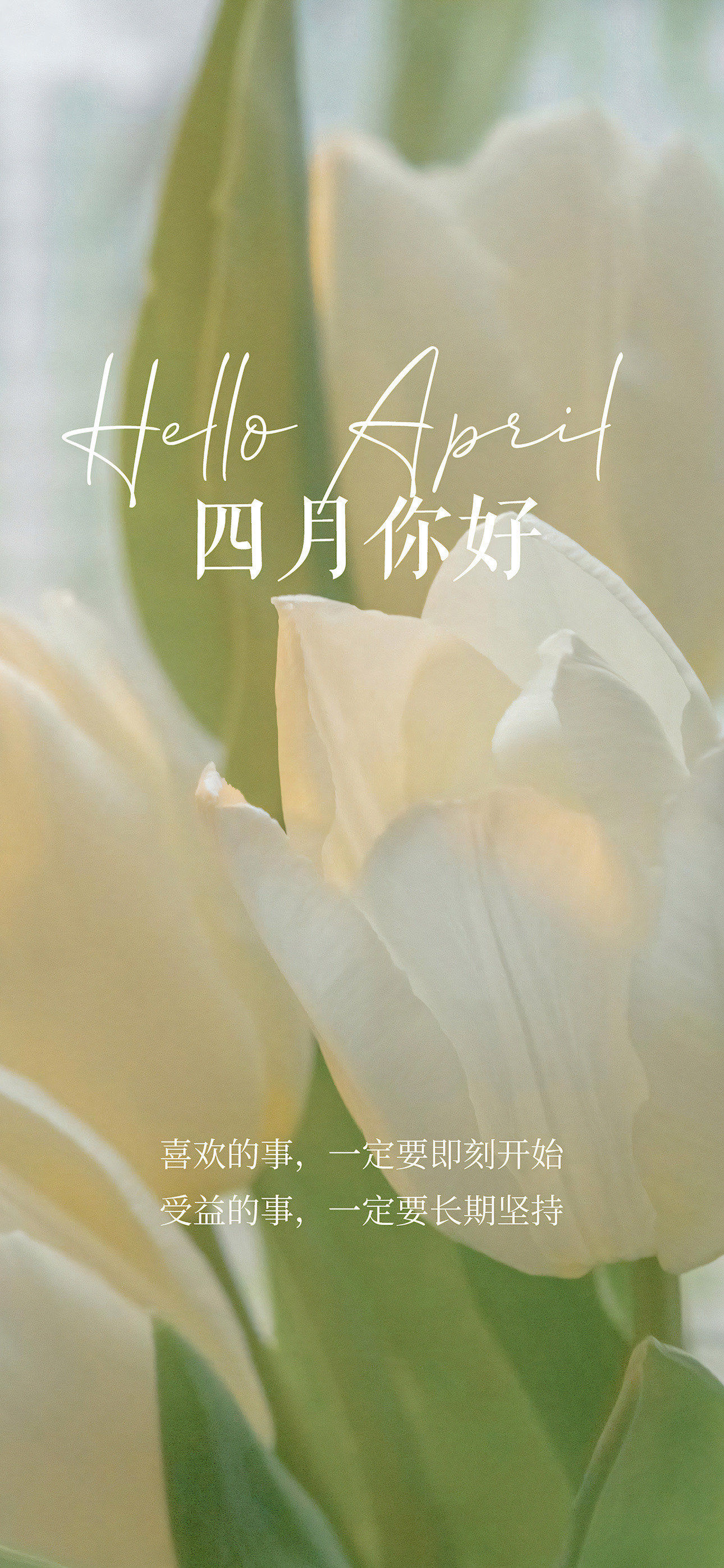 四月你好呀～#四月壁纸