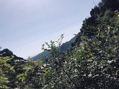 -北京上方山国家森林公园