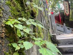 -终南山南五台景区