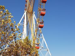 -辛玛王国游乐园