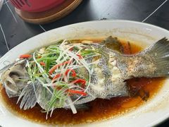 -坛南湾阿强农家乐.海鲜大排档老字号(福州地标美食店)