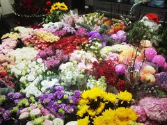 -双季花艺园艺市场(浦东店)