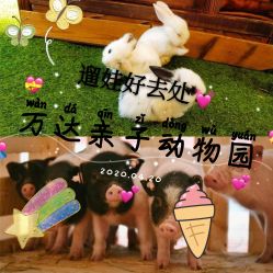 -萌宠亲子动物乐园(槐房万达店)