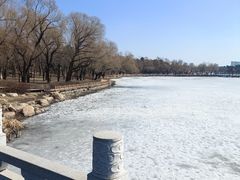 -长春市南湖公园