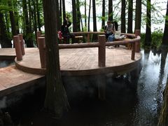 -东湖落雁景区