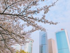 -西北湖绿化广场