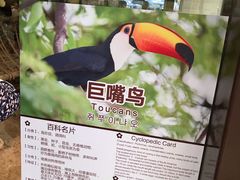 -灵玲国际马戏城
