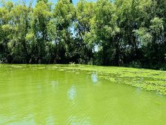 -长兴太湖图影湿地文化园