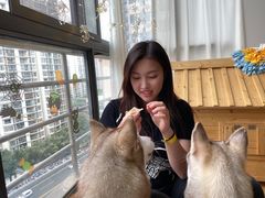 -Husky Go! 哈士奇体验馆·宠物咖啡厅狗咖