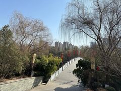 -西安汉城湖景区