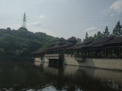 -重庆彩云湖湿地公园