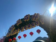-安吉Hello Kitty乐园