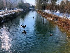 -长白岛森林公园