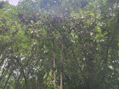 -重庆工商大学(南岸校区)