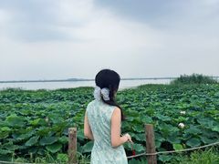 -七的湖·晚芳亭·阳澄湖农家菜·大闸蟹(莲花岛店)