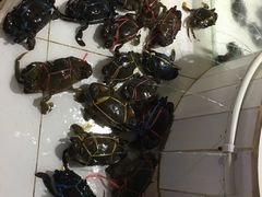 -海盗餐厅