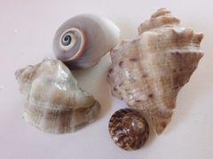 -东戴河风景区-止锚湾