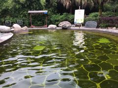 -雅安楠水阁温泉酒店