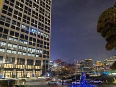 -上海苏宁宝丽嘉酒店·嘉府壹号中餐厅