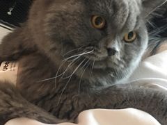 -猫和宫(六道口店)