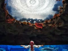 -南昌融创海世界