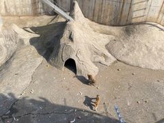 -无锡动物园·太湖欢乐园