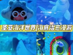 -大连圣亚海洋世界