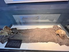 -巴音郭楞蒙古自治州博物馆