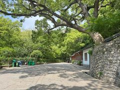 -普陀山风景名胜区-法雨禅寺