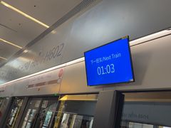 -上海浦东国际机场-T2航站楼