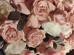 -隐炉和牛烧肉店(群力店)