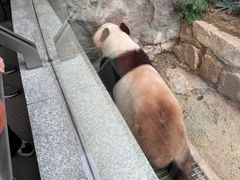 -石排湾郊野公园