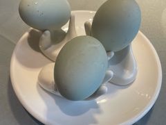 -宋园·金宴浙鲜馆(静安店)