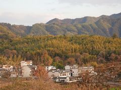 -塔川景区