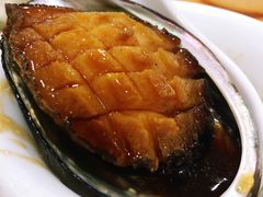 -蚝专家(北滘店)