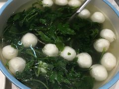 -丁老爷子苏香圆