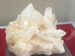 -延庆地质公园博物馆