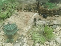 -上海昆虫博物馆