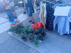 -荷兰街