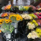 全球旗舰店[得意]北京首家优衣库花店🌹[礼花]绿啦❗️