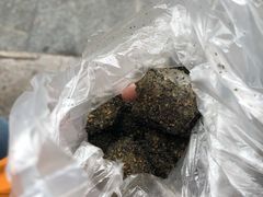 -叶氏麻糍(鼓浪屿店)