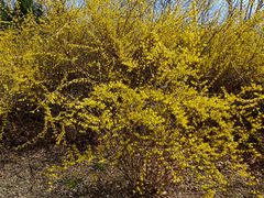 -鉴湖国家城市湿地公园