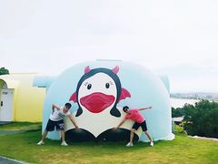 -漳州滨海火山岛自然生态风景区