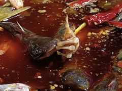 -蛙鱼道美蛙鱼自助火锅(新耍都店)