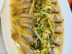 -高老庄新家宴(北斗星广场店)