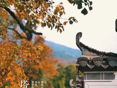 -塔川景区