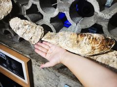-辉记炭烧海鲜大排档·老字号(福田店)